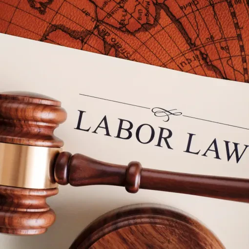 Employment and Labor Law Advice