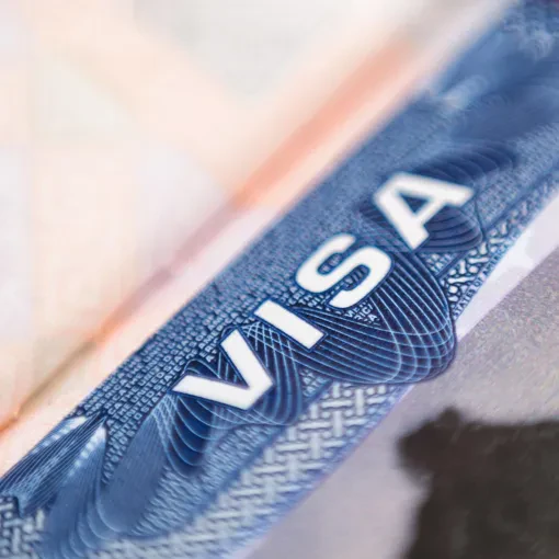 Immigration and Visa Services